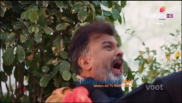 Bekaboo - 21st May 2023